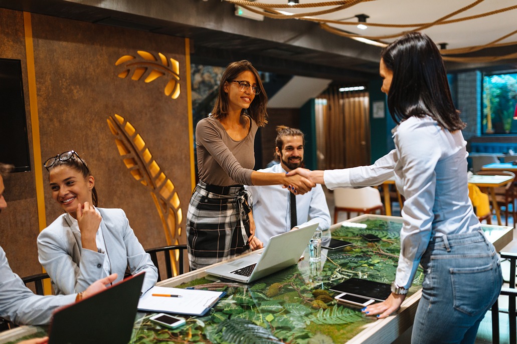 Business handshake